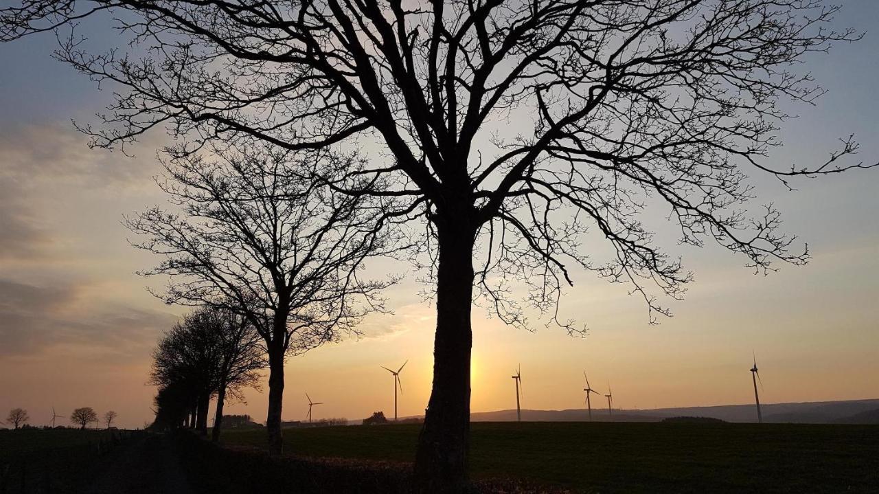 Ferienwohnung An Der Kleinen Schreinerei Hallschlag Esterno foto