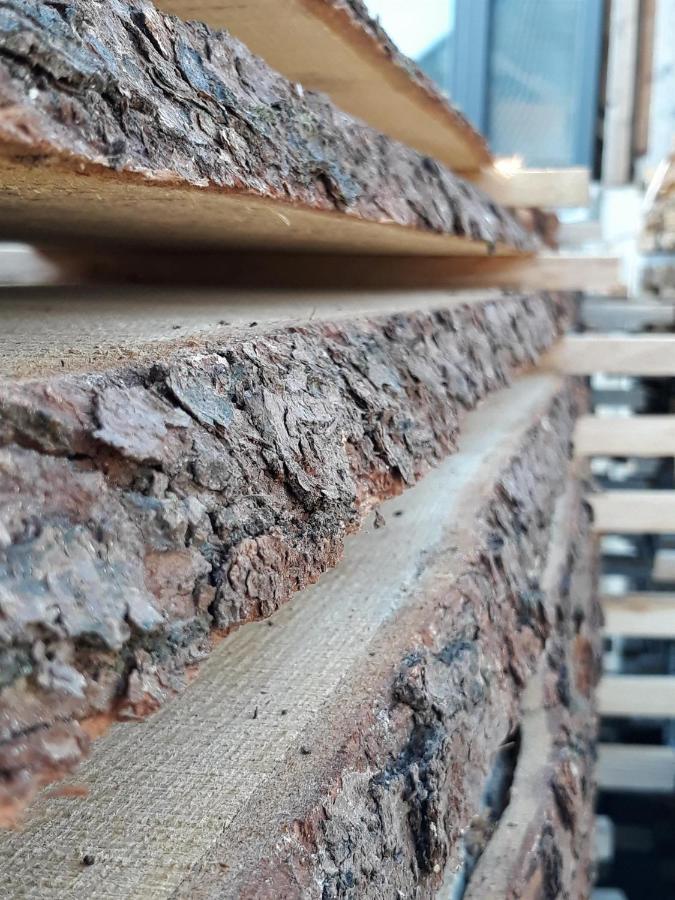 Ferienwohnung An Der Kleinen Schreinerei Hallschlag Esterno foto
